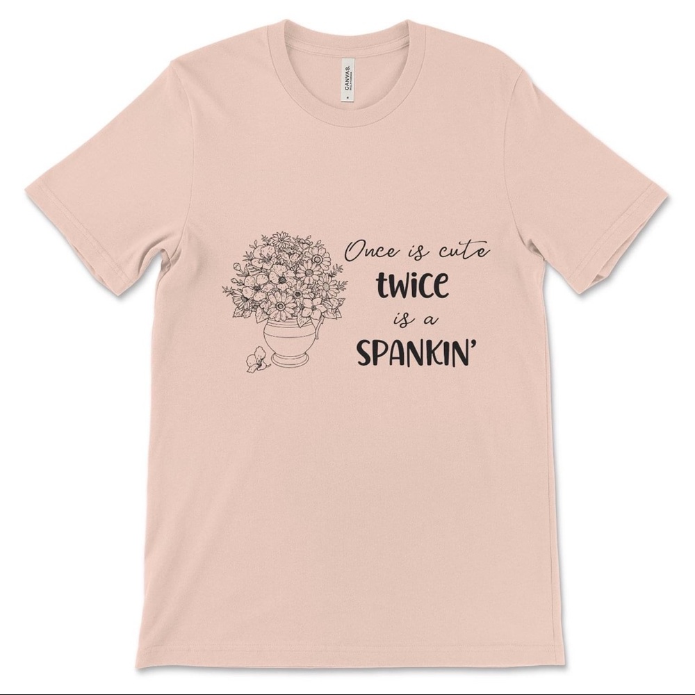 NEW Bella Canvas Tee- Funny Southern Saying